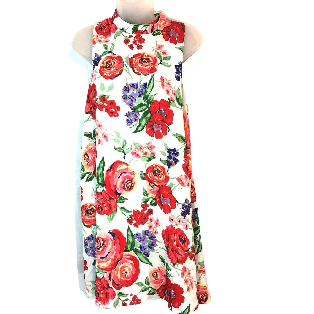 EVERLY ANTHROPOLOGIE Sleeveless Blue Floral Midi Lined Dress Size Large